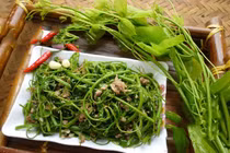 Những món ngon hấp dẫn từ loài rau rừng tên lạ - rau bò khai