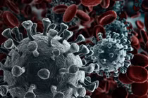Nếu không may bị nhiễm virus corona, cơ hội sống là bao nhiêu?