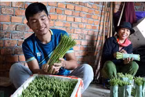Cất bằng kinh doanh quốc tế, 9X về làng trồng rau, kiếm tiền tỷ