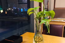 Mẹ vợ hẹn gặp riêng, yêu cầu con rể làm chuyện khó nghĩ