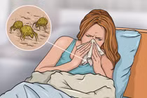 Những điều tồi tệ gì xảy ra khi bạn không giặt chăn gối ngủ