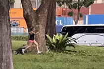 Cô gái bị đàn rái cá rượt đuổi “chạy té khói” trong công viên