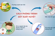 Sốt xuất huyết ở Hà Nội: Làm gì để phòng bệnh?