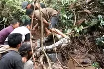Tưởng vấp phải thân cây, cúi xuống kinh hoàng nhận ra thứ kinh dị...
