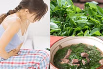 3 đối tượng cần nói “không” với rau ngót kẻo ung thư “ghé thăm”