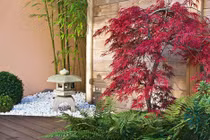 Đêm tân hôn chú rể đề nghị điều bất ngờ