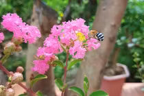 Câu nói tổn thương đừng bao giờ nói với bạn đời