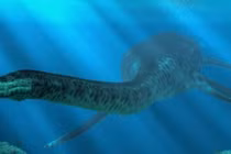 Quái vật hồ Loch Ness lộ diện, có băng hình ghi lại?