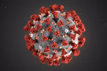 Nóng: Nhật Bản cô lập thành công virus corona mới