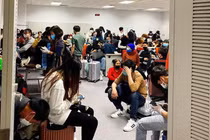 Du học sinh Việt tại Hàn gặp thế khó, ở lại sợ dịch, về sợ nợ nần