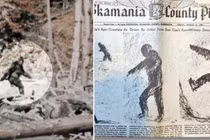 Tuyên bố sốc: FBI từng âm thầm điều tra quái vật Bigfoot?