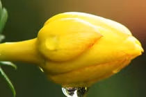 Sinh ngày Âm lịch này càng chăm chỉ thành công tiền bạc càng đến gần 