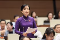 Liệu có những vụ Việt Á trong lựa chọn sách giáo khoa?