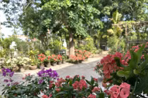 Nơi chữa lành tốt nhất chính là nhà của mẹ