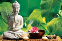 5 thói quen giúp bạn cân bằng cuộc sống, thanh tịnh tâm hồn
