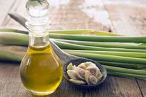 Tác dụng bất ngờ của tinh dầu xả chưa chắc nhiều người biết