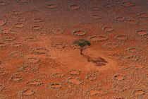 Giải mã bí ẩn về những “vòng tròn cổ tích” kỳ lạ ở Namibia