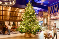 Cây thông Noel đắt nhất thế giới, giá 15 triệu USD ở Tây Ban Nha