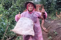 Không được lên tuyển Việt Nam, Huy Toàn về quê làm nông dân
