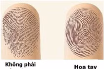 Liếc bàn tay, biết ngay trời 'cho' ai giàu có, 'phạt' ai nghèo nàn
