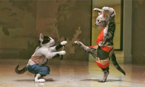 Tròn mắt xem động vật sành điệu nhất hành tinh
