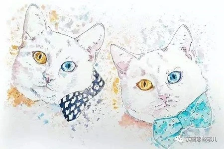 Bốn con giáp tiêu tiền vô địch thiên hạ nhưng vẫn giàu nứt vách