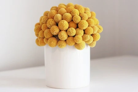 Bái phục top con giáp càng béo ú càng giàu có ngút trời