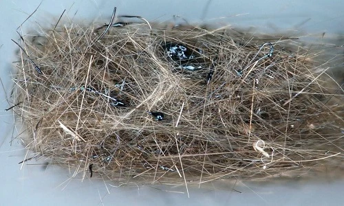 Kỳ thú xem tóc và nước mắt núi lửa