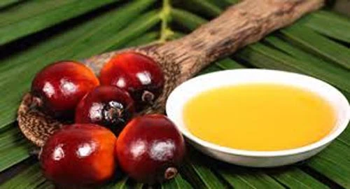 Top thực phẩm tàn phá trái tim mà ai cũng thích