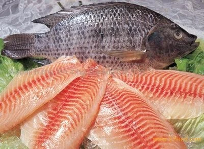 Phát hiện sốc: Ăn cá rô phi có thể bị ung thư