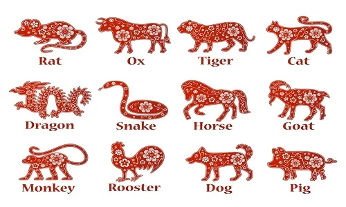 Dự đoán ngày mới 20/12/2021 cho 12 con giáp: Hợi vượng tài, Tỵ trắc trở 