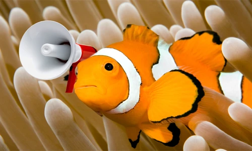 Những sinh vật ồn ào bất ngờ nhất đáy đại dương