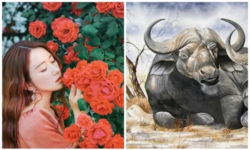 Đầu tháng 5/2023: Bốn con giáp đa phúc đa lộc, đường đời tươi sáng