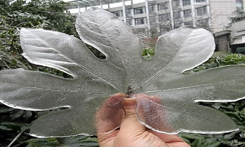 Ngỡ ngàng với tác phẩm điêu khắc tuyệt diệu từ băng đá