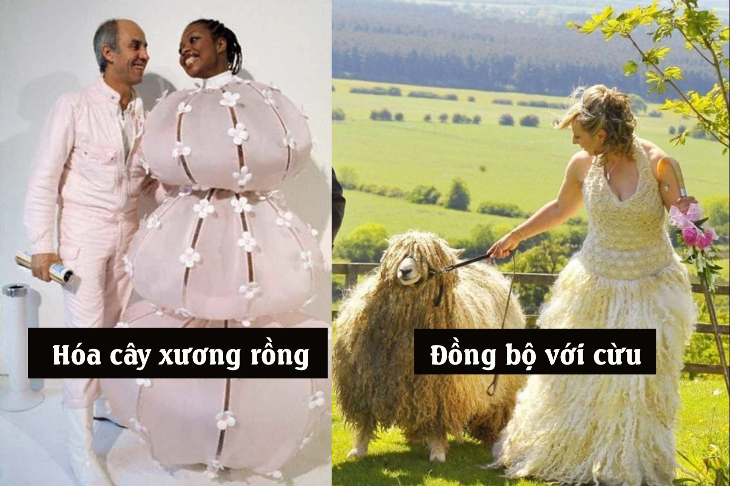 Phát hoảng chiếc váy cưới có 1-0-2, chú rể khóc không ra tiếng