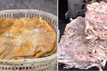 Tiêu hủy hơn 25 tấn thực phẩm đông lạnh bốc mùi hôi thối