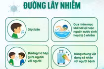 Số ca nhiễm Adenovirus tăng chóng mặt, nguy cơ lây lan trong mùa hè
