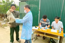 Hà Nội ghi nhận 8 ổ dịch dại trong năm 2026, cảnh báo người dân