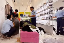 Hà Nội phát hiện gần 1.400 sản phẩm giả mạo thương hiệu nổi tiếng