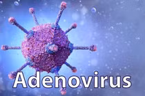Bác sĩ cảnh báo nguy cơ biến chứng nặng từ virus Adenovirus ở trẻ nhỏ