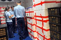 Gia Lai tạm giữ hơn 2,5 tấn quả tươi không rõ nguồn gốc