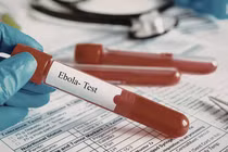 TP HCM siết giám sát cửa khẩu để ngăn nguy cơ dịch xâm nhập dịch Ebola