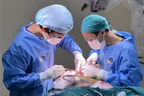 Nam sinh đau đầu, chóng mặt thường xuyên do u vùng tuyến tùng hiếm gặp