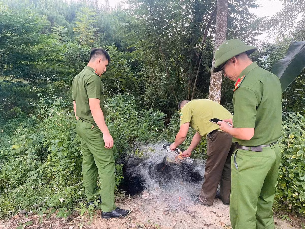 Gallery - Lào Cai tháo dỡ gần 1.000m lưới bẫy chim hoang dã trên đầm Vân Hội - image 3