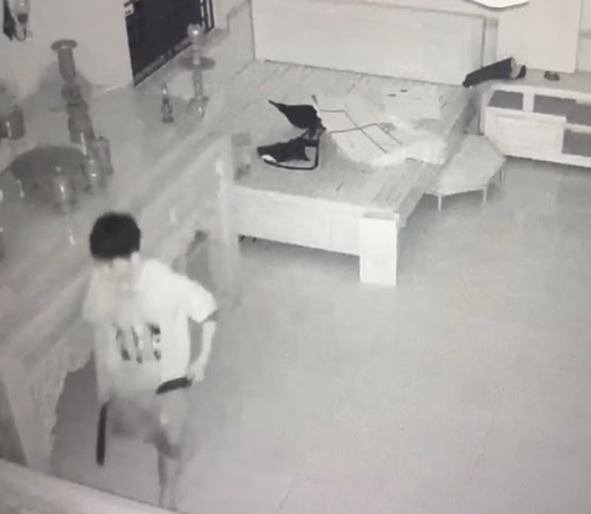 a1.jpg