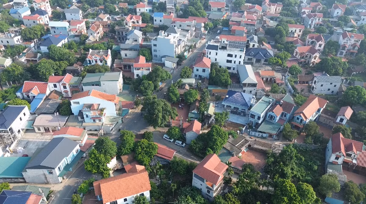 anh-8409.jpg