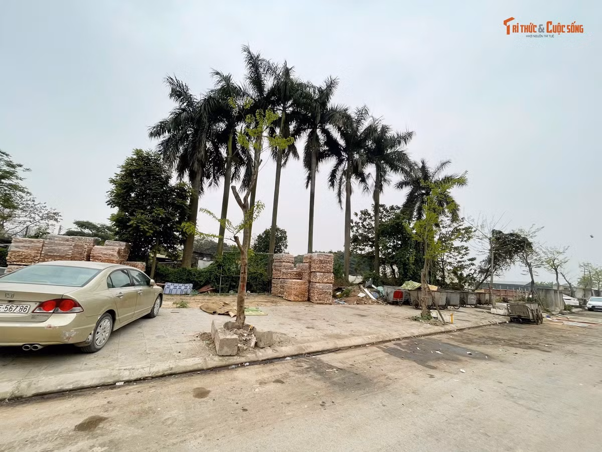 Gạch còn được chất đống, xếp nằm ngổn ngang ra vỉa hè đường.