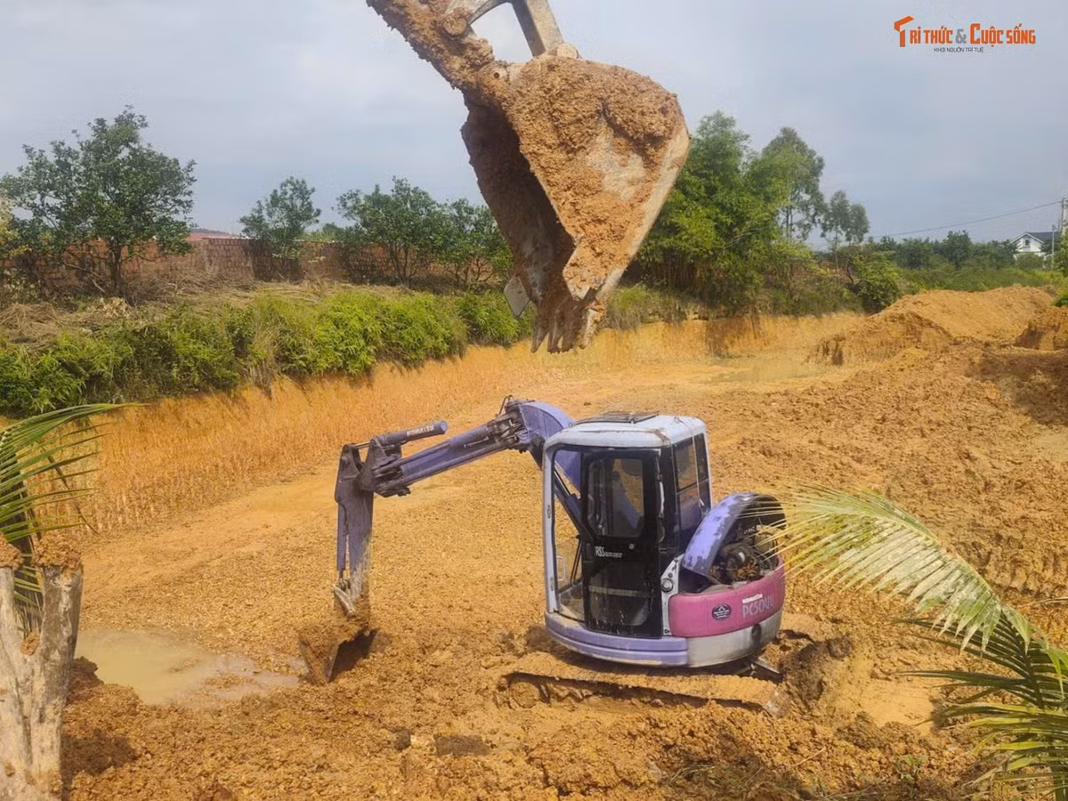 Gallery - Phú Thọ: Rà soát dấu hiệu vi phạm đất đai ở Xuân Hòa - image 10