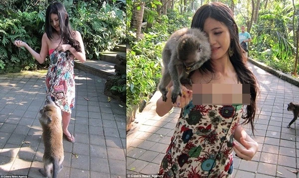 Bỗng dưng bị động vật “sàm sỡ”, chị em hoang mang, cáu kỉnh