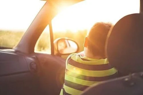 Hai em bé tử vong trong xe hơi vì sốc nhiệt ở Pháp